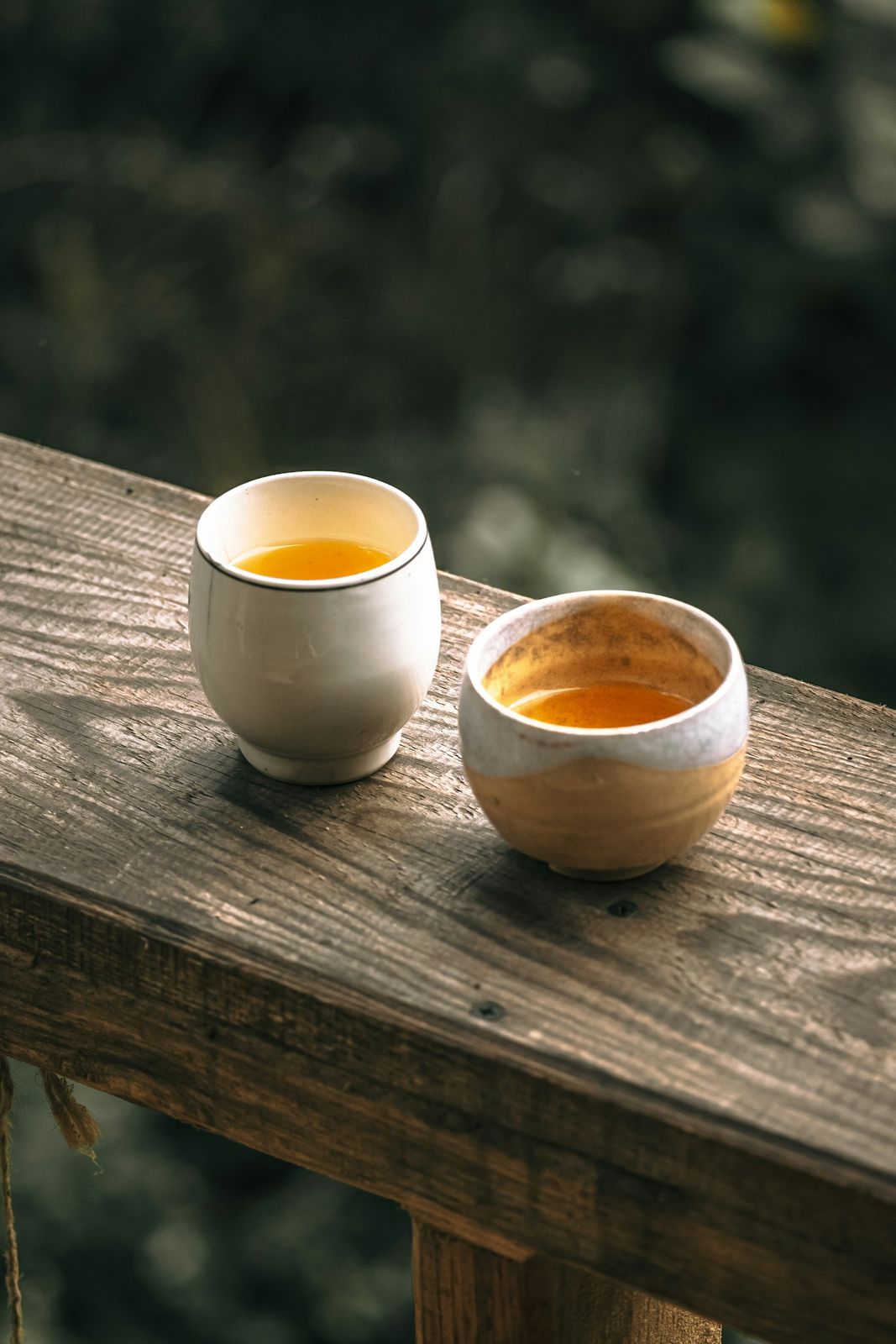 茶與晨光